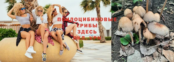 ешки Арсеньев