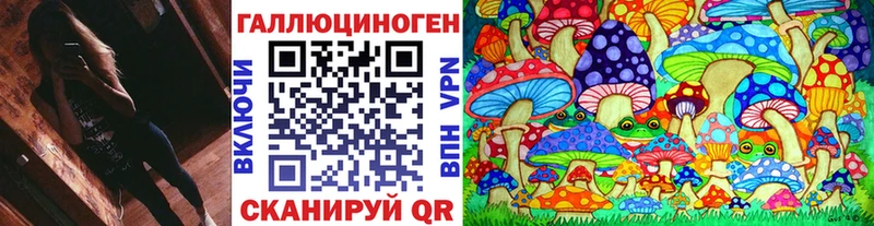 Купить закладки  Ужур  Галлюциногенные грибы Cubensis 